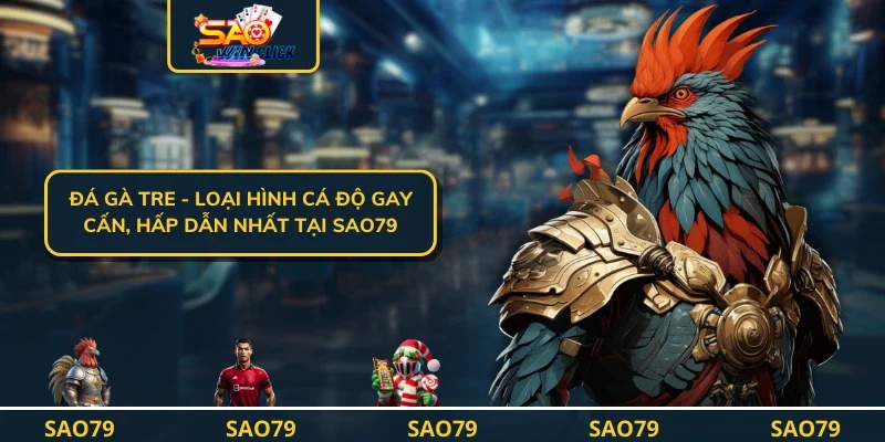 Đá Gà Tre - Loại Hình Cá Độ Gay Cấn, Hấp Dẫn Nhất Tại SAO79